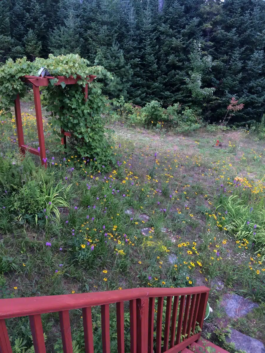 HALO Educational Systems - Thumbnail 4