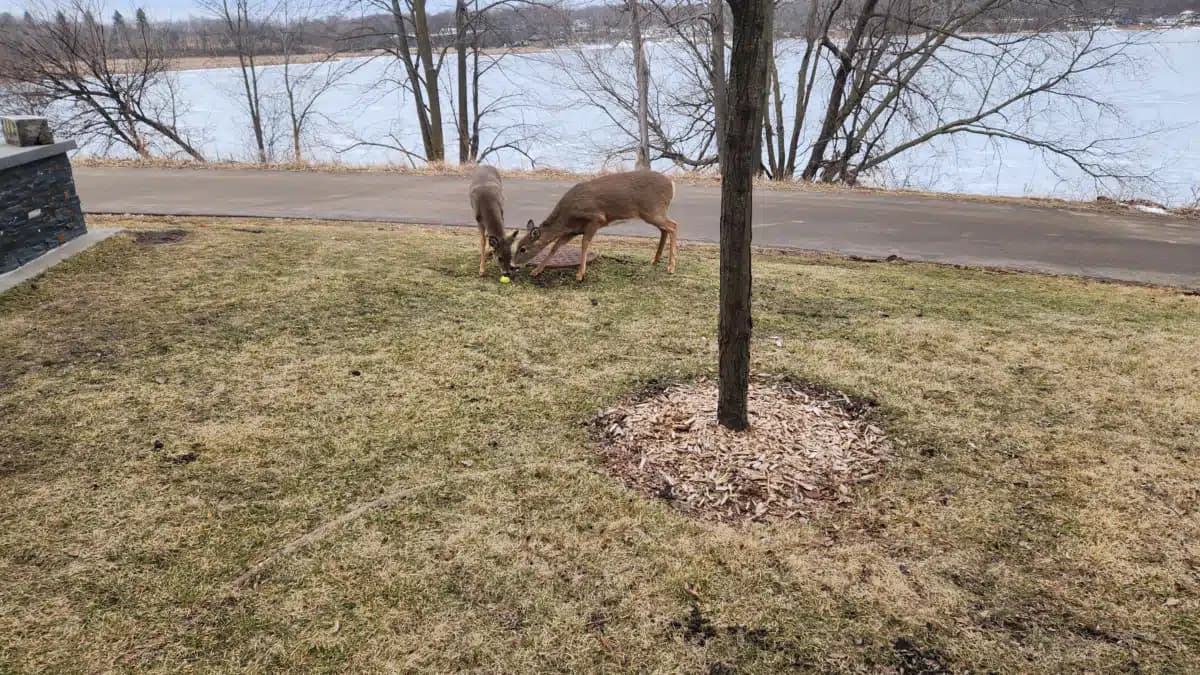 Hazelden Betty Ford Foundation - Thumbnail 10