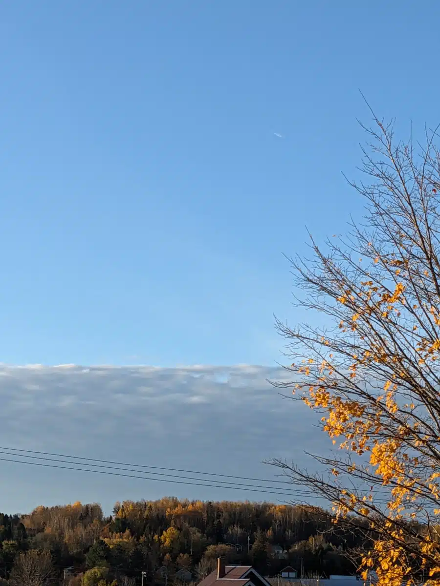 Healing Hearts LLC - Thumbnail 10