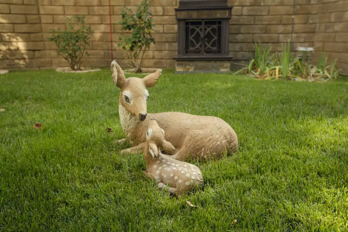 Healthy Living Residential Program - Thumbnail 9