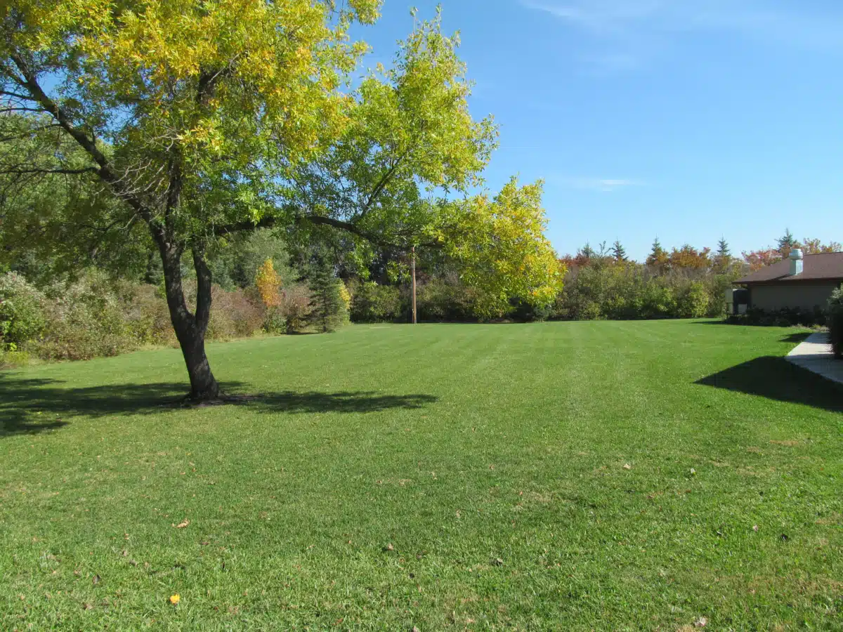 Heartview Foundation - Thumbnail 8