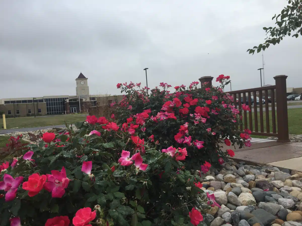 Henderson County Health Center - Thumbnail 2