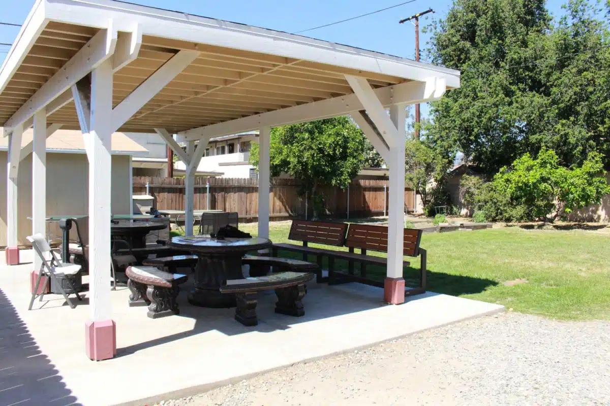 His House Palm Recovery - Thumbnail 2