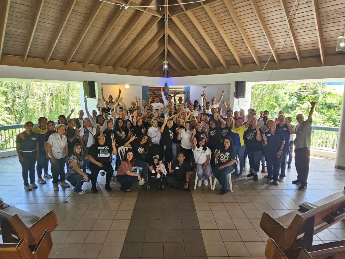 Hogar Crea Tortugo - Thumbnail 6