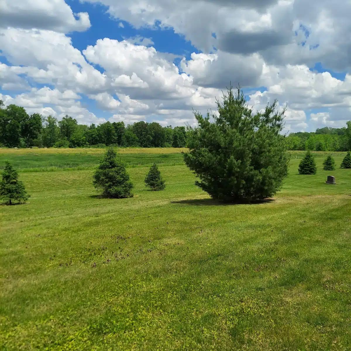 IU Health Ball - Thumbnail 10