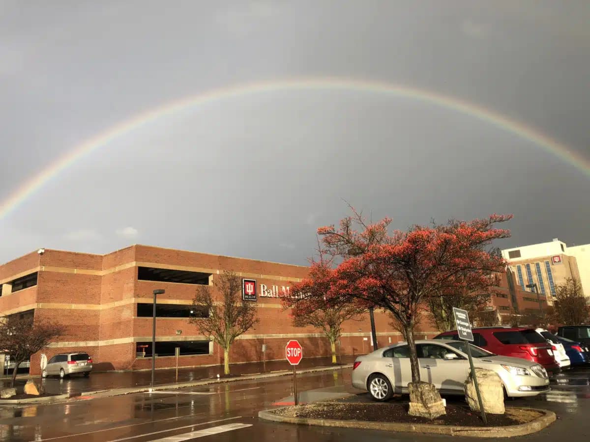 IU Health Ball - Thumbnail 4