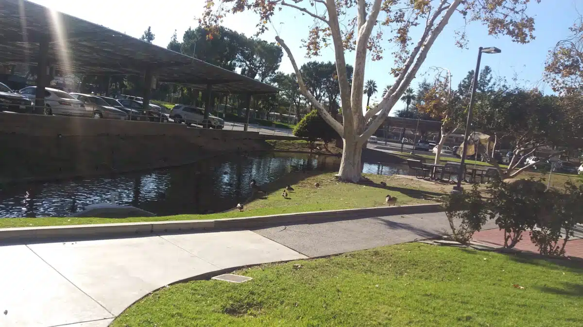 Jerry L Pettis Memorial VA Med Center - Thumbnail 10