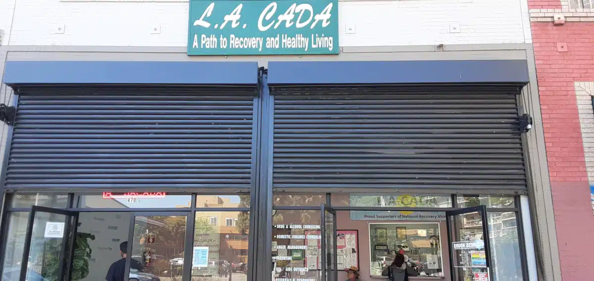 LA Centers for Alcohol and Drug Abuse - Thumbnail 2