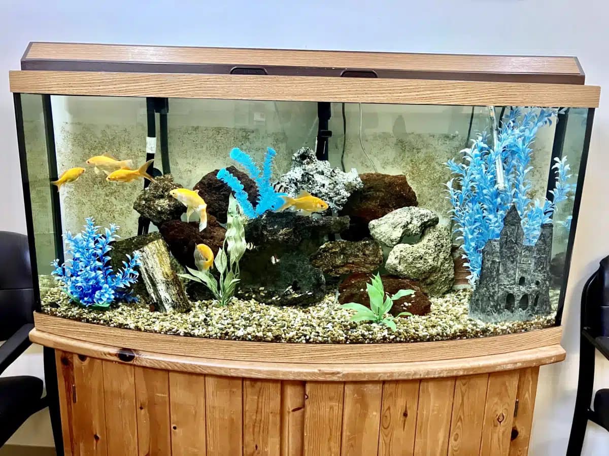 Lake Area Recovery Center - Thumbnail 3