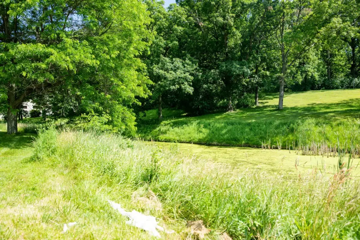 Lake Behavioral Hospital - Thumbnail 10