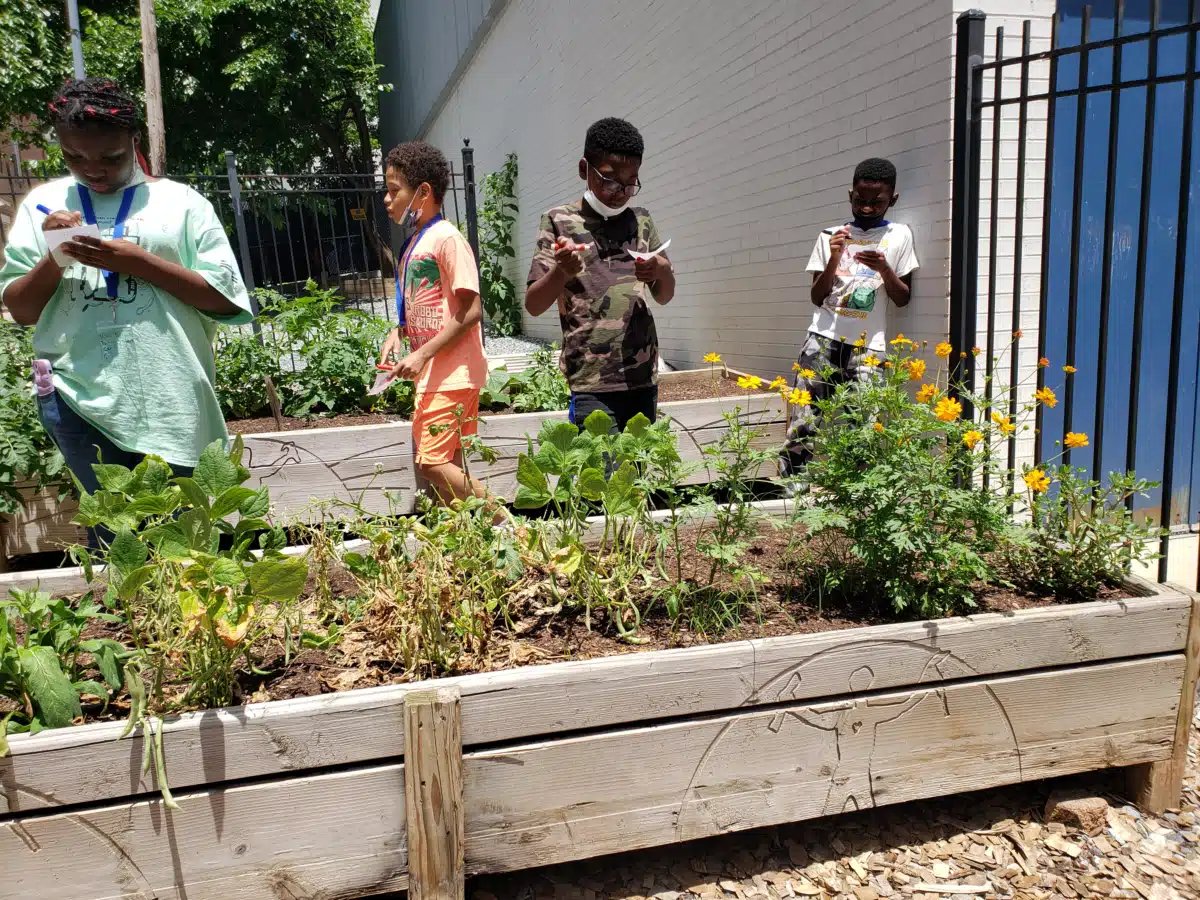 Latin American Youth Center - Thumbnail 3