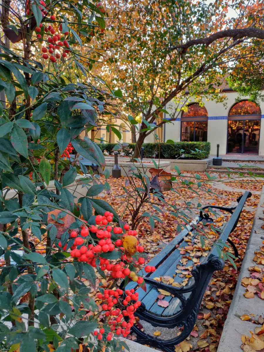 Laurel Ridge Treatment Center - Thumbnail 5