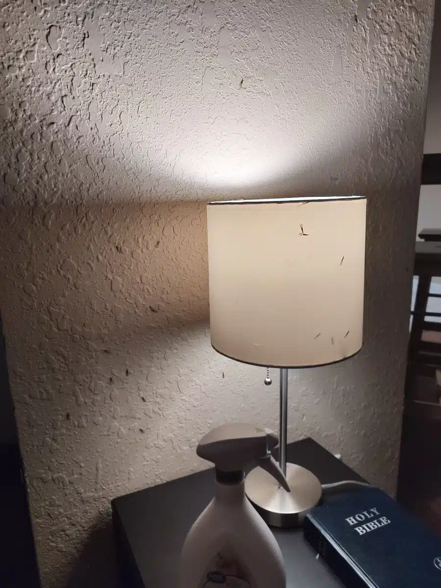 Lighthouse Recovery Institute - Thumbnail 9