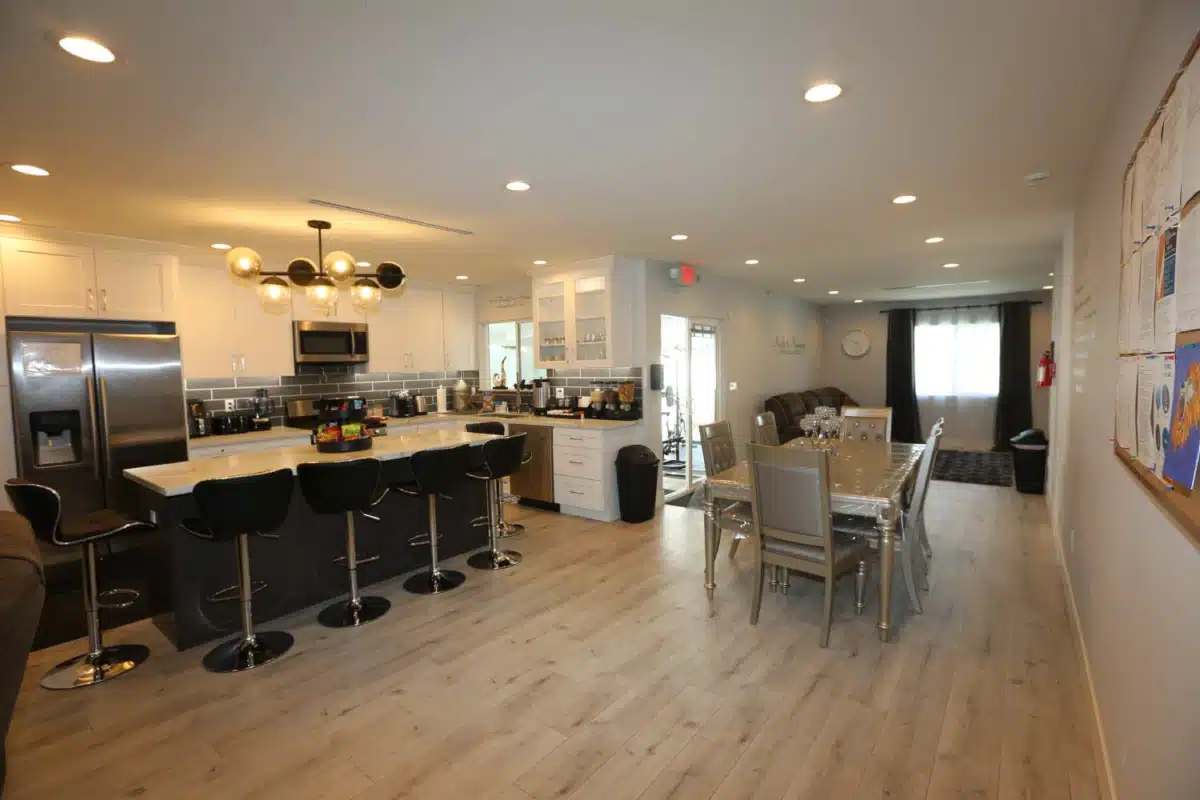 Lion Recovery - Thumbnail 2