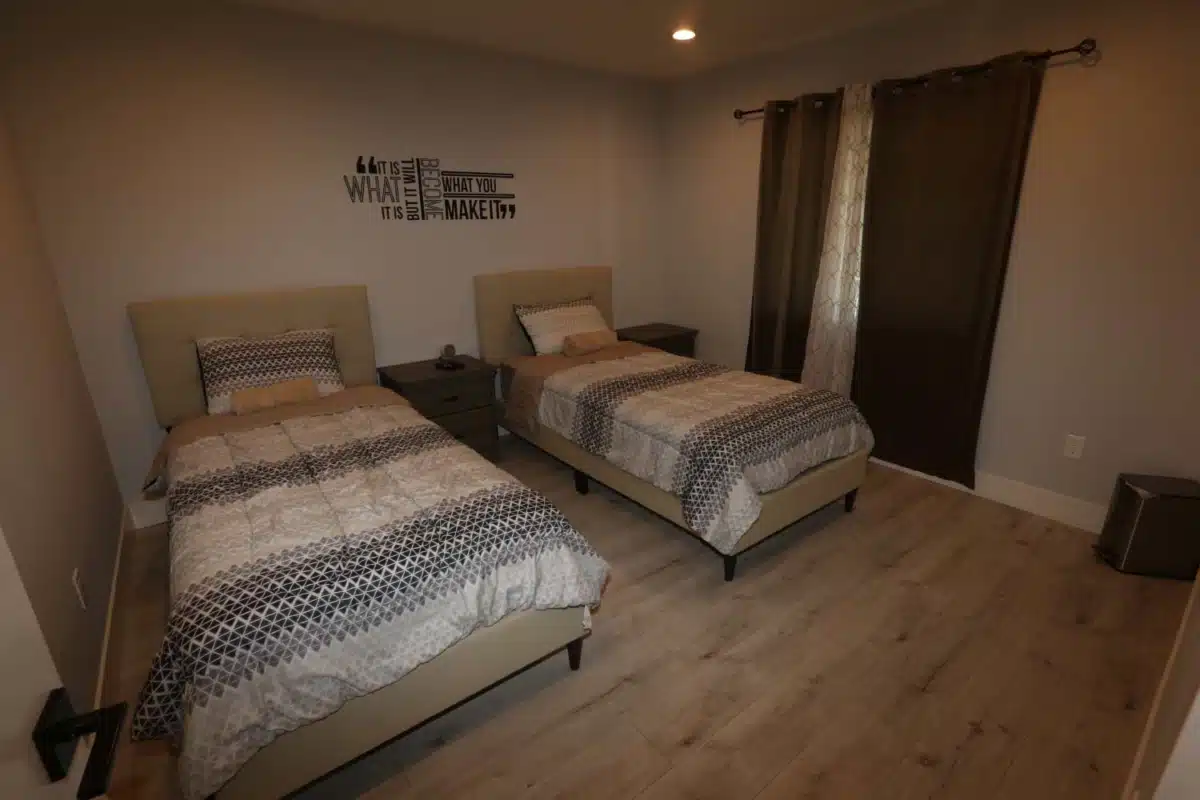 Lion Recovery - Thumbnail 3