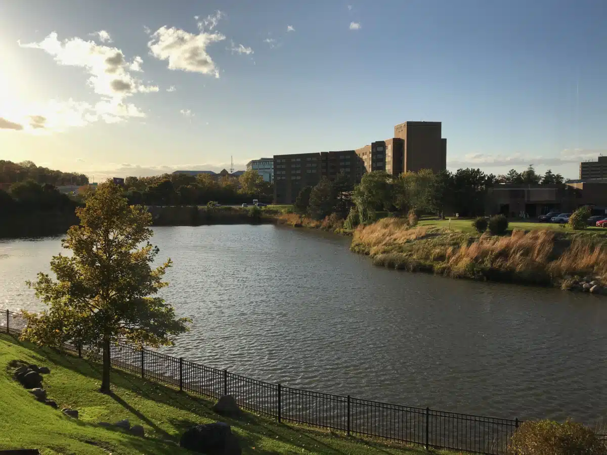 Lott Behavioral Health - Thumbnail 2