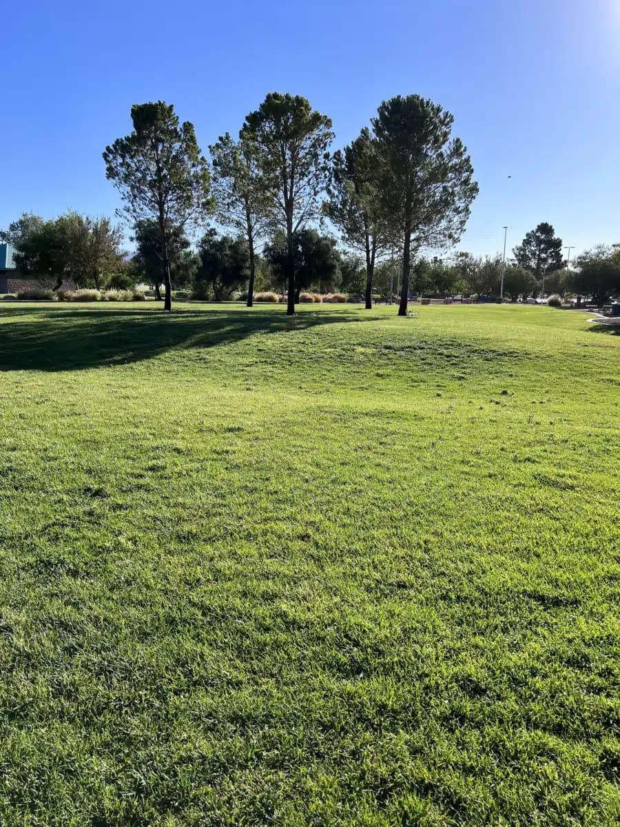 Luxe Treatment Center LLC - Thumbnail 2