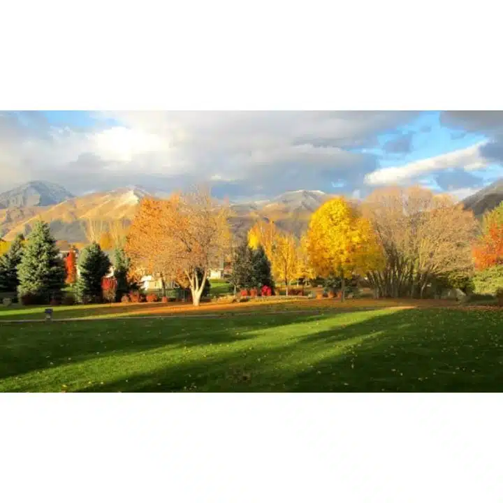 Maple Mountain Recovery - Thumbnail 8