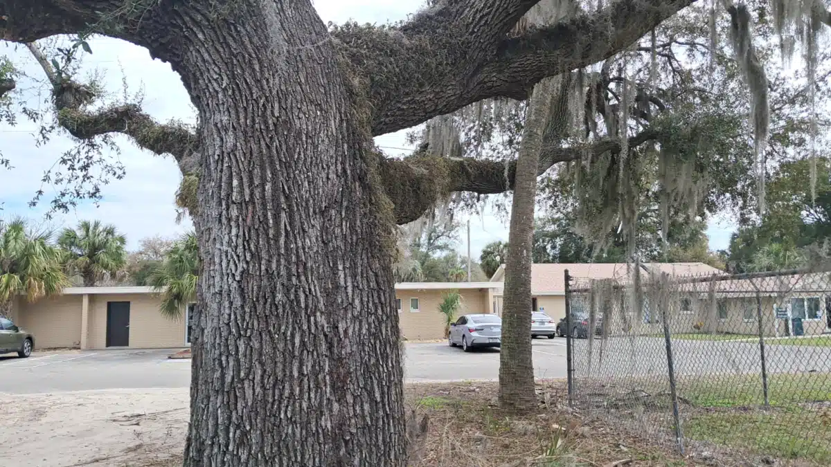 Meridian Behavioral Healthcare Inc - Thumbnail 3