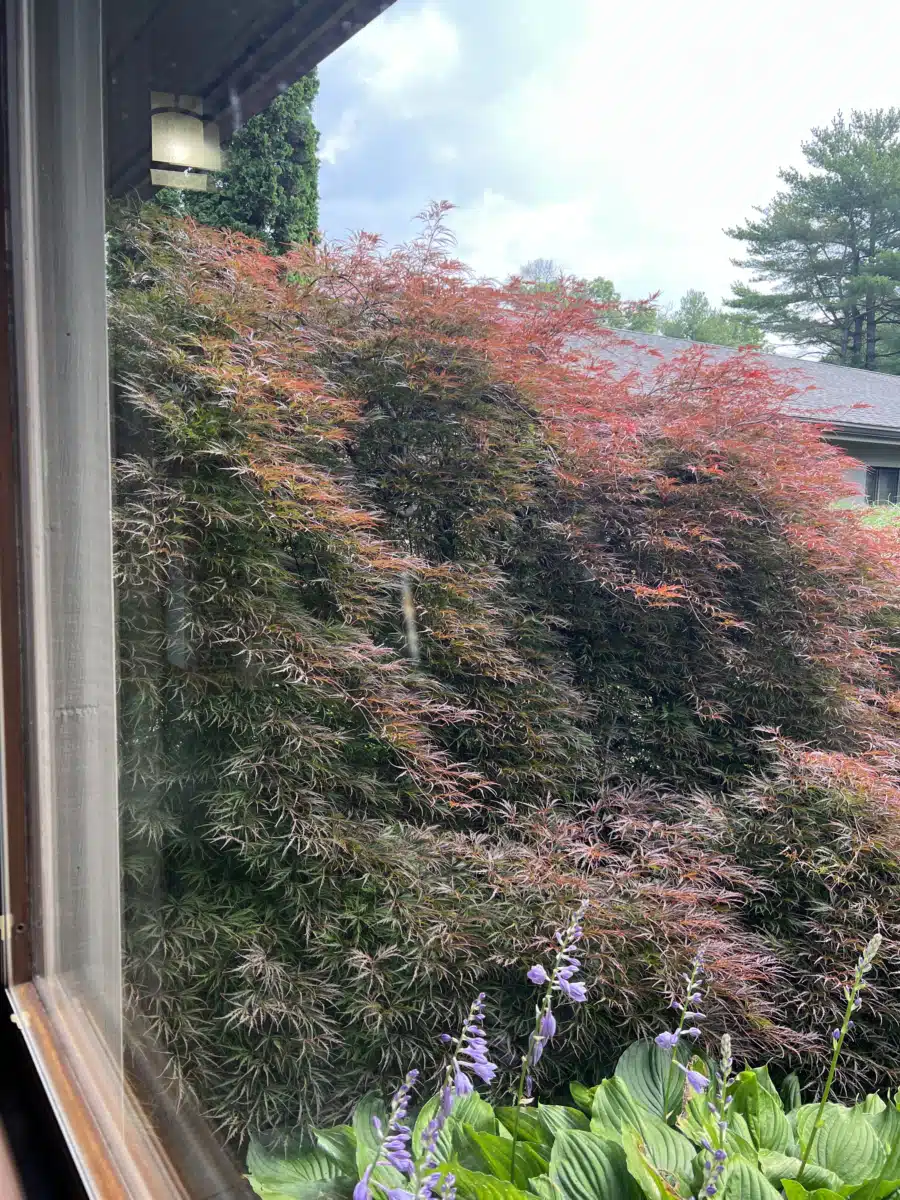 Mirmont Treatment Center - Thumbnail 3