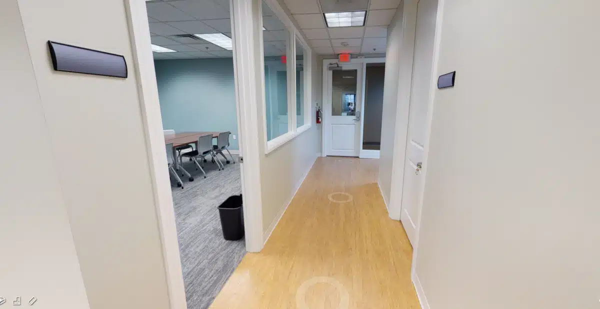 Monarch - Thumbnail 8