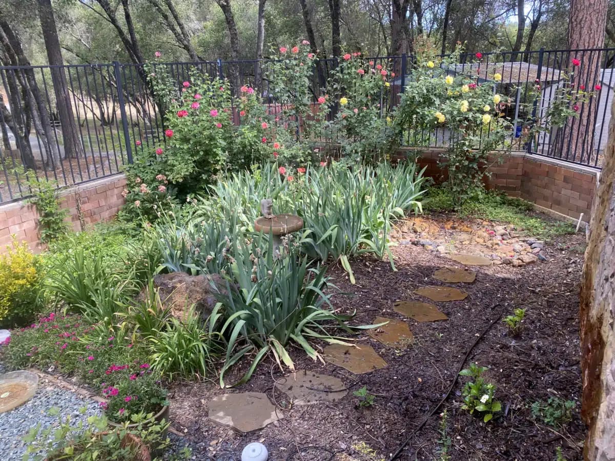 More to Life Recovery - Thumbnail 3