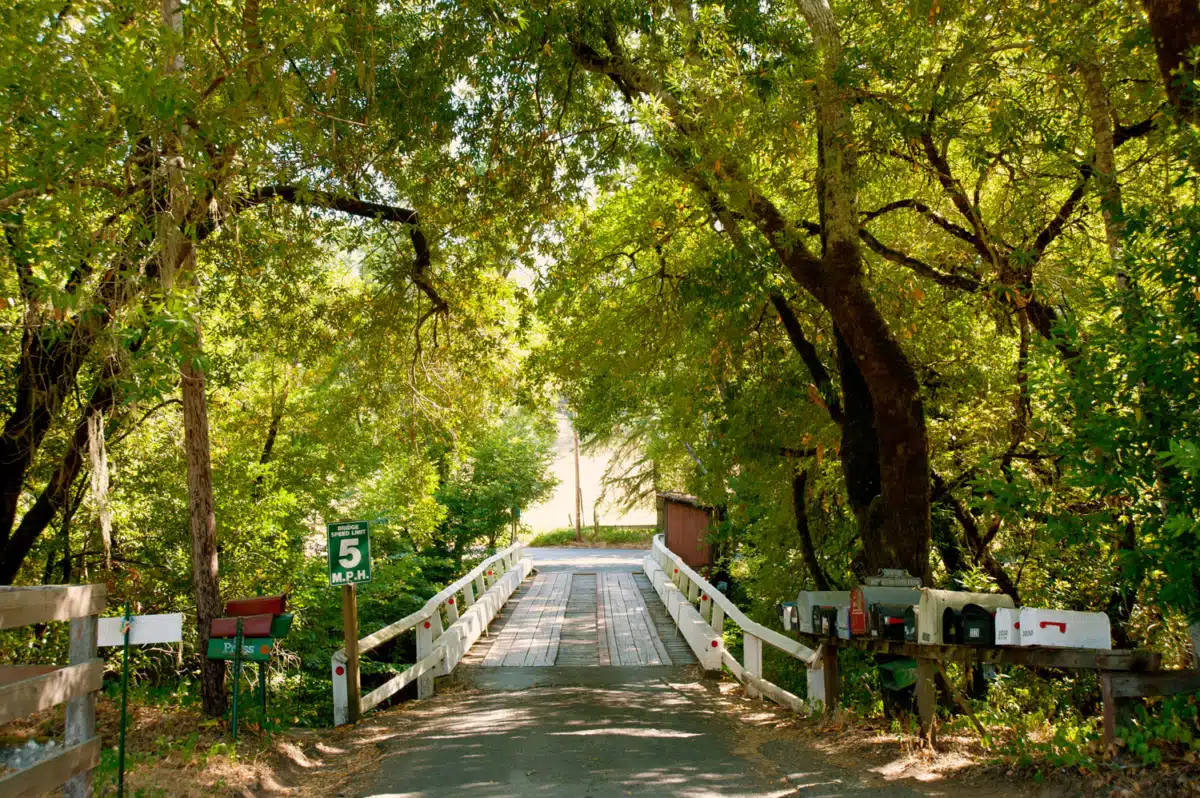 Mountain Vista Farm - Thumbnail 4