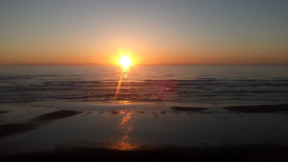 National Institute for Change PC - Thumbnail 2