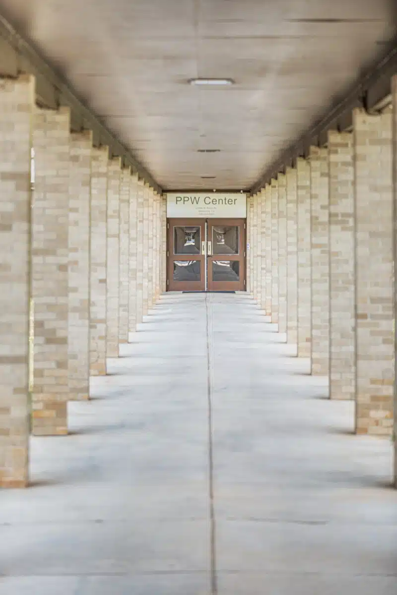 Ness Center - Thumbnail 8