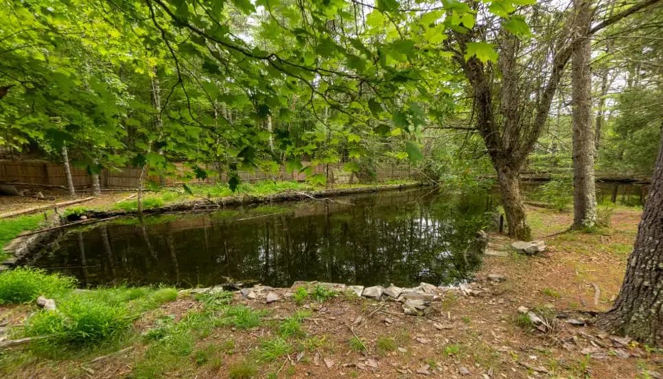 Never Alone Inc - Thumbnail 7