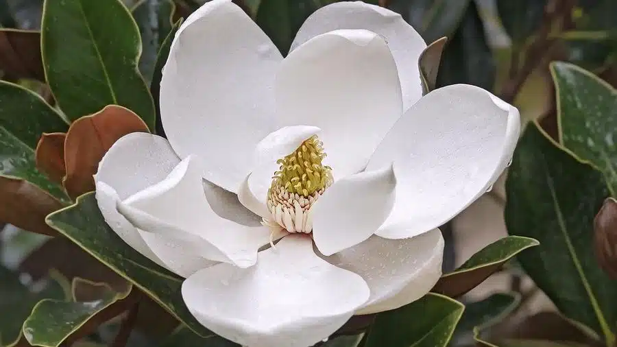 New Beginnings at Lake Charles LLC - Thumbnail 3