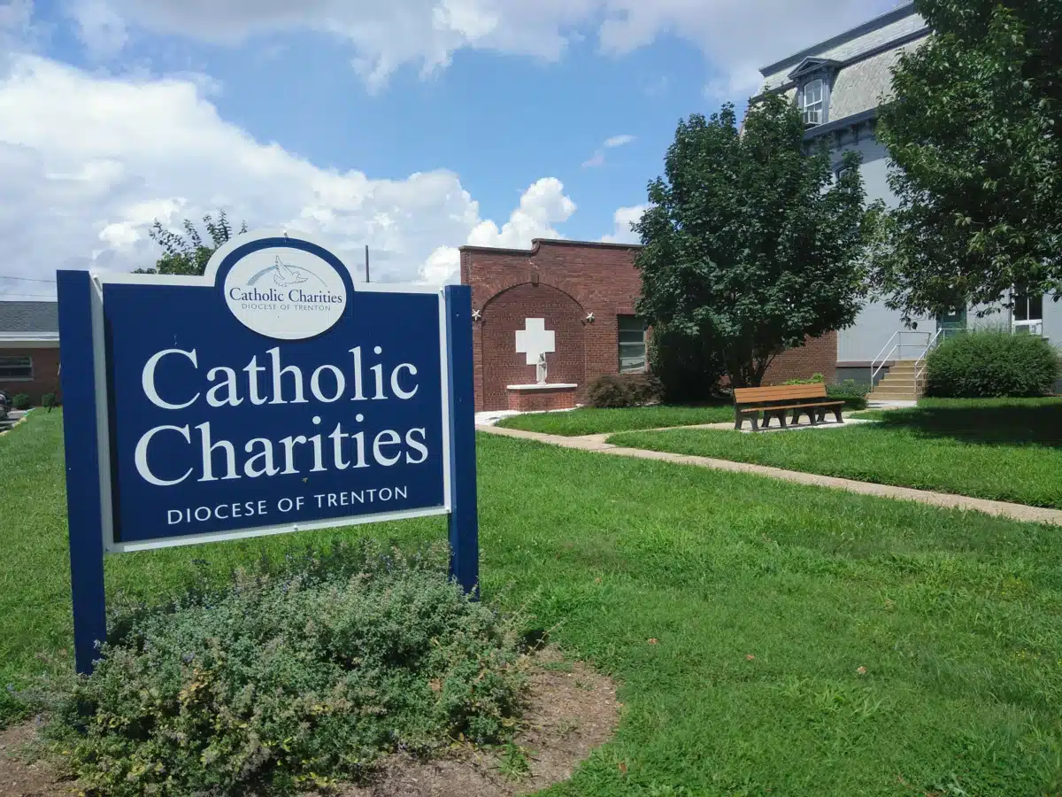 New Choices - Thumbnail 5