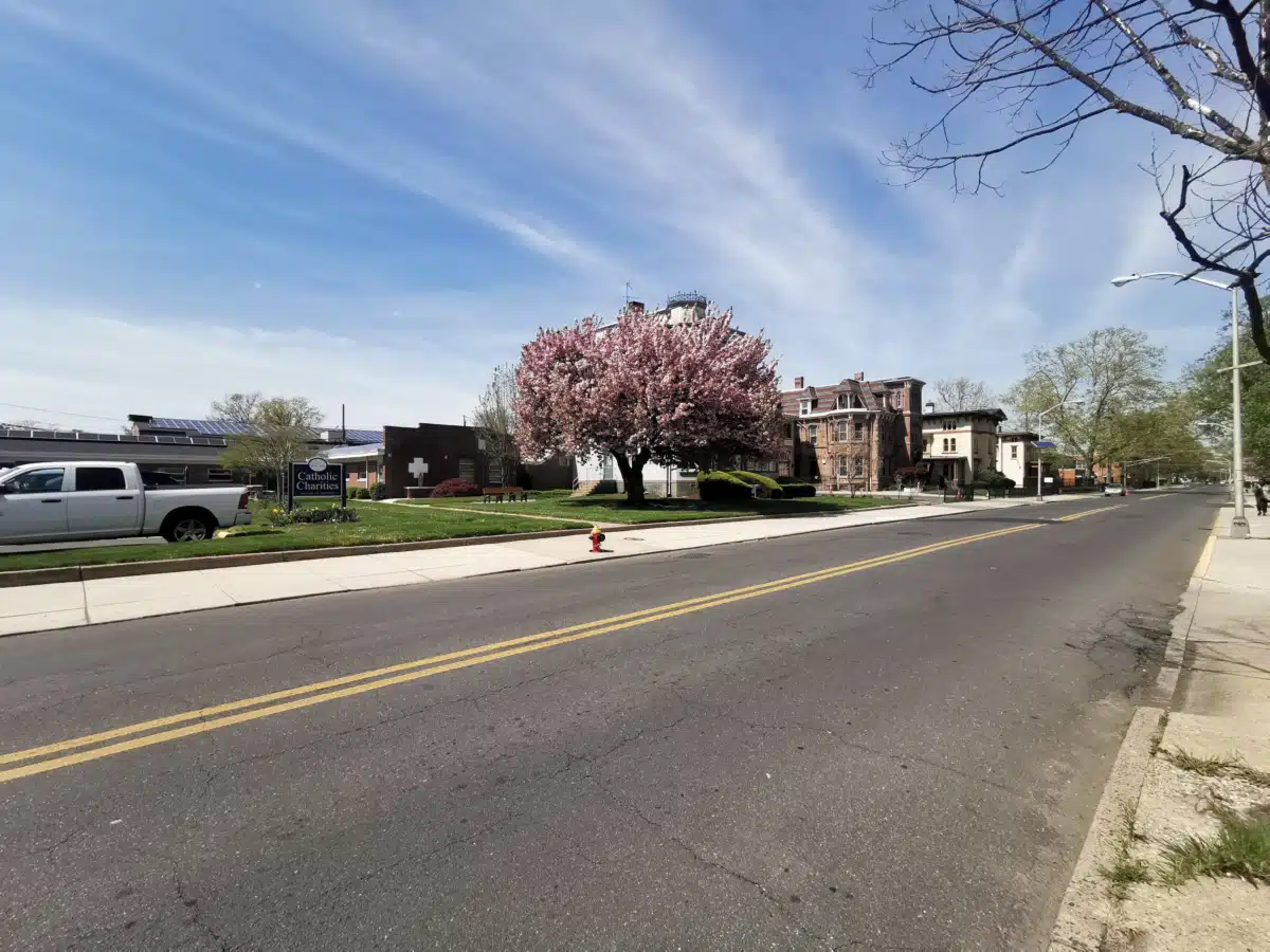 New Choices - Thumbnail 9