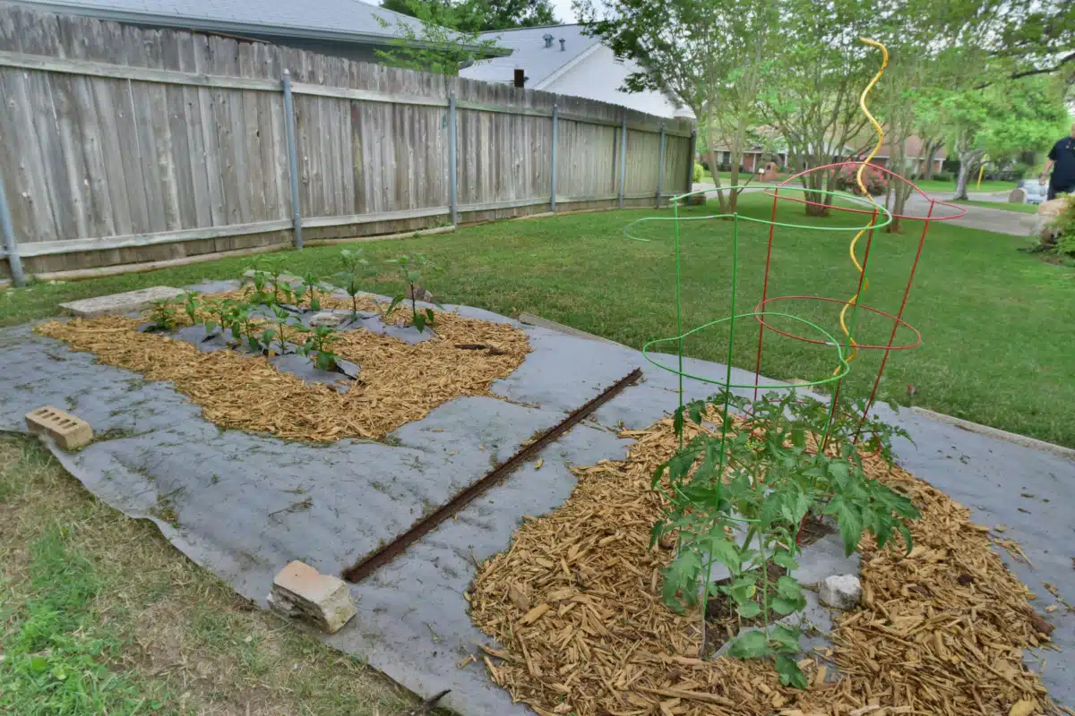 New Day Recovery Services - Thumbnail 9