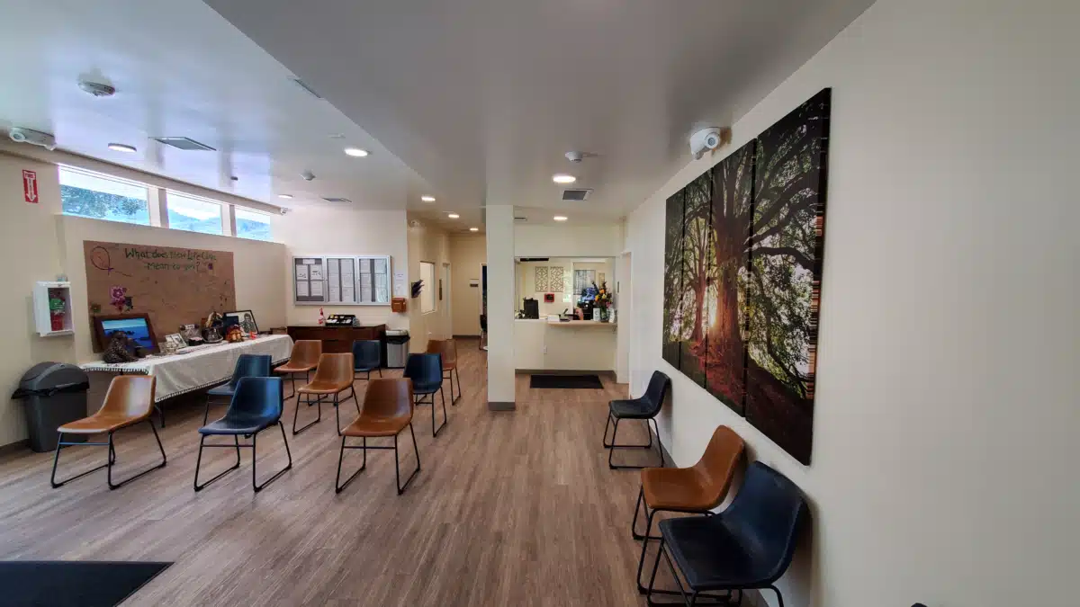 New Life Health Authority - Thumbnail 2