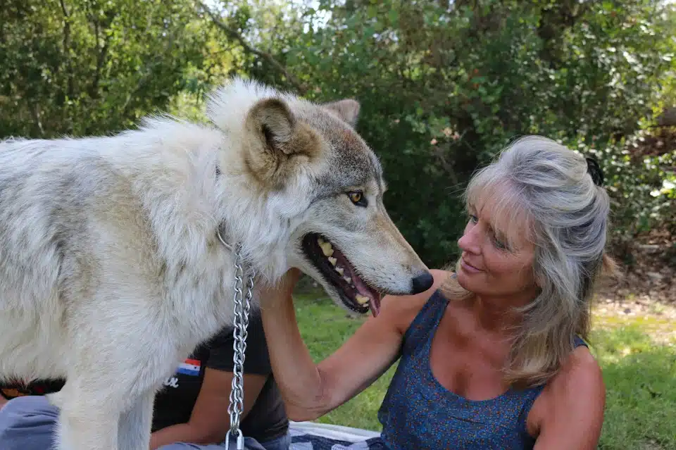 New Method Wellness - Thumbnail 9