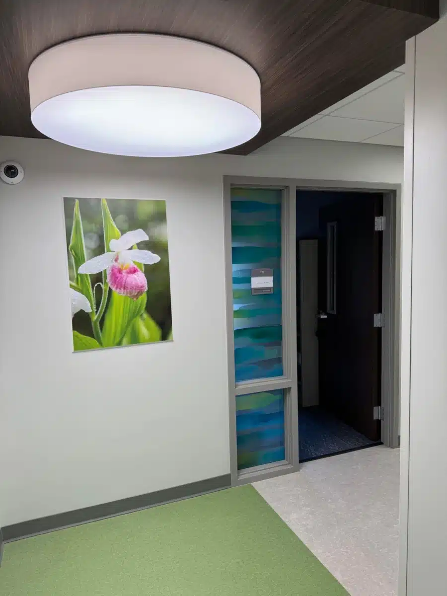 New Vista - Thumbnail 8