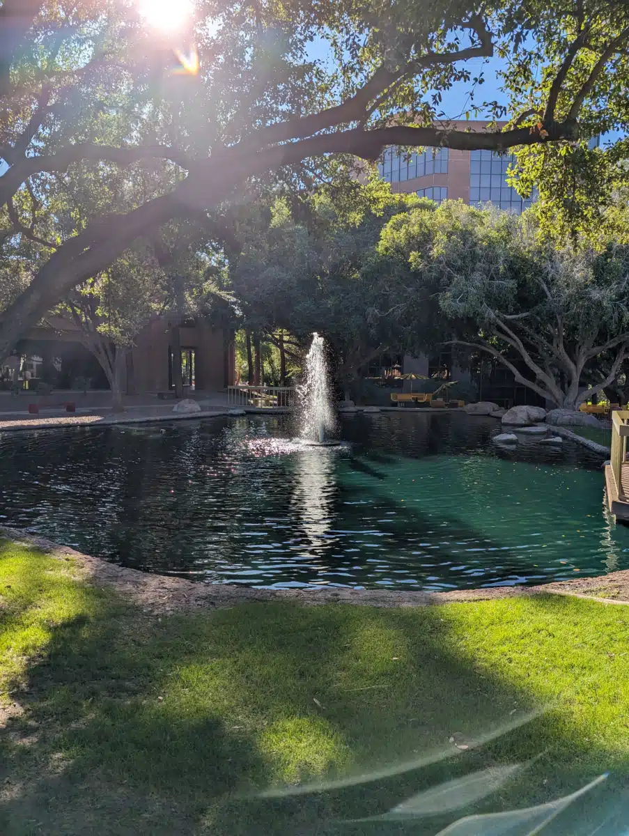 NorthSight Recovery - Thumbnail 10