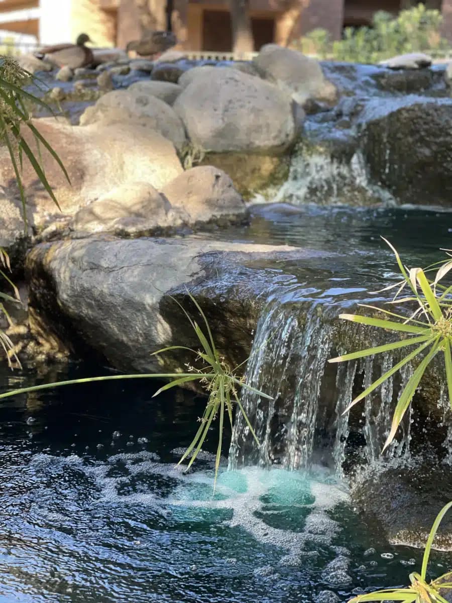 NorthSight Recovery - Thumbnail 3