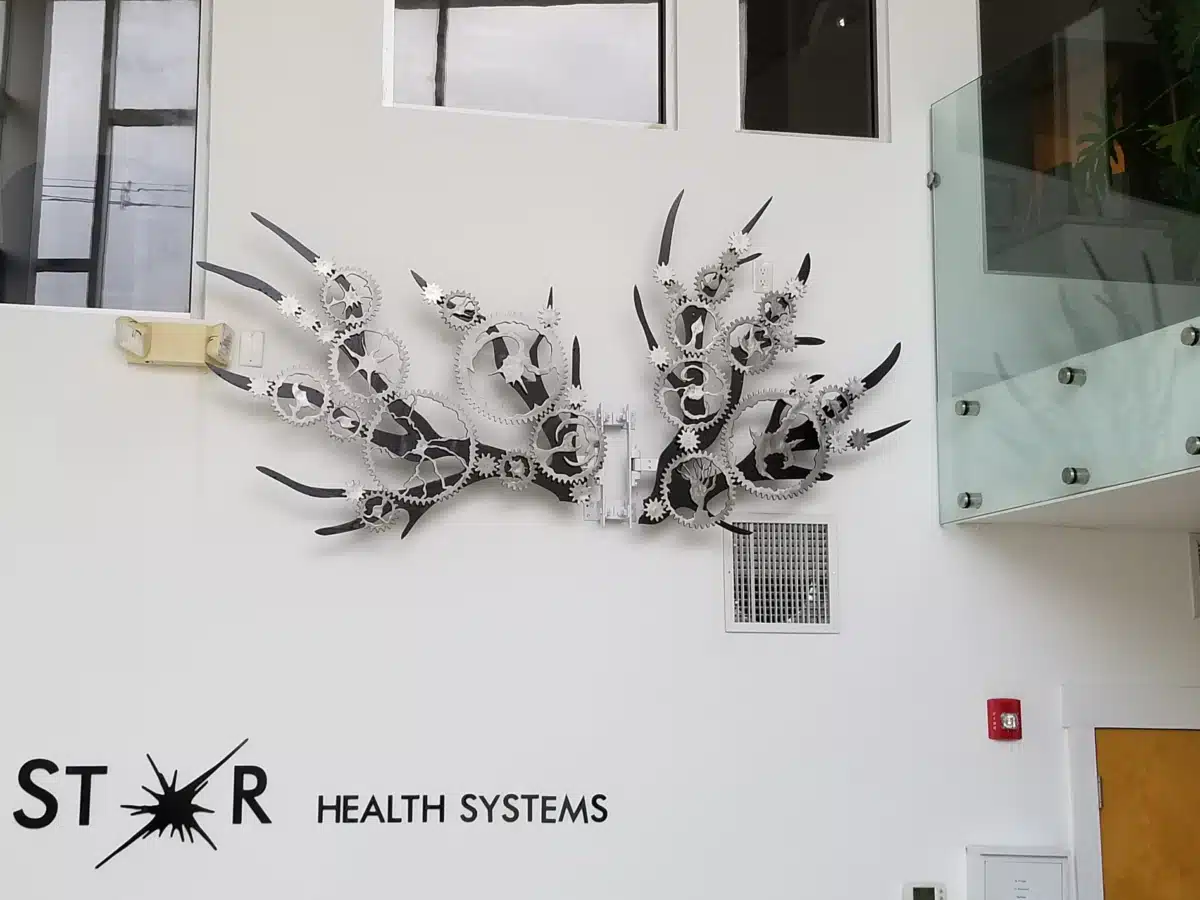 Northstar Health Systems - Thumbnail 2