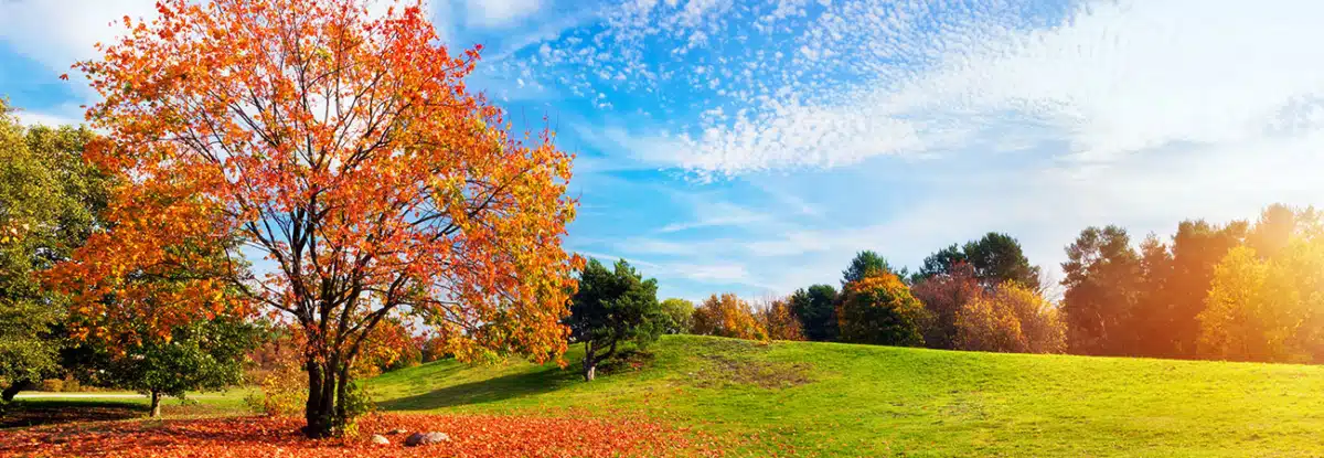 Northwestern Counseling and