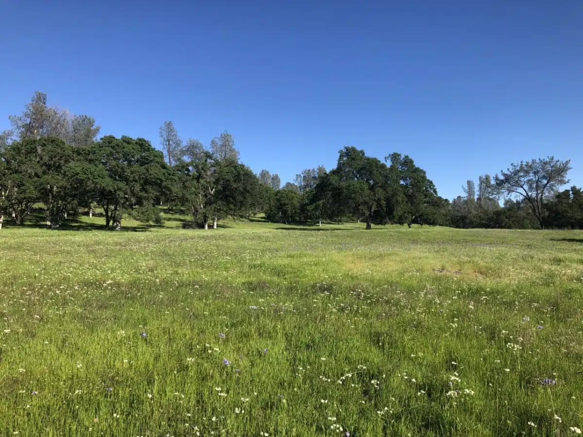 Ona Treatment Center - Thumbnail 9