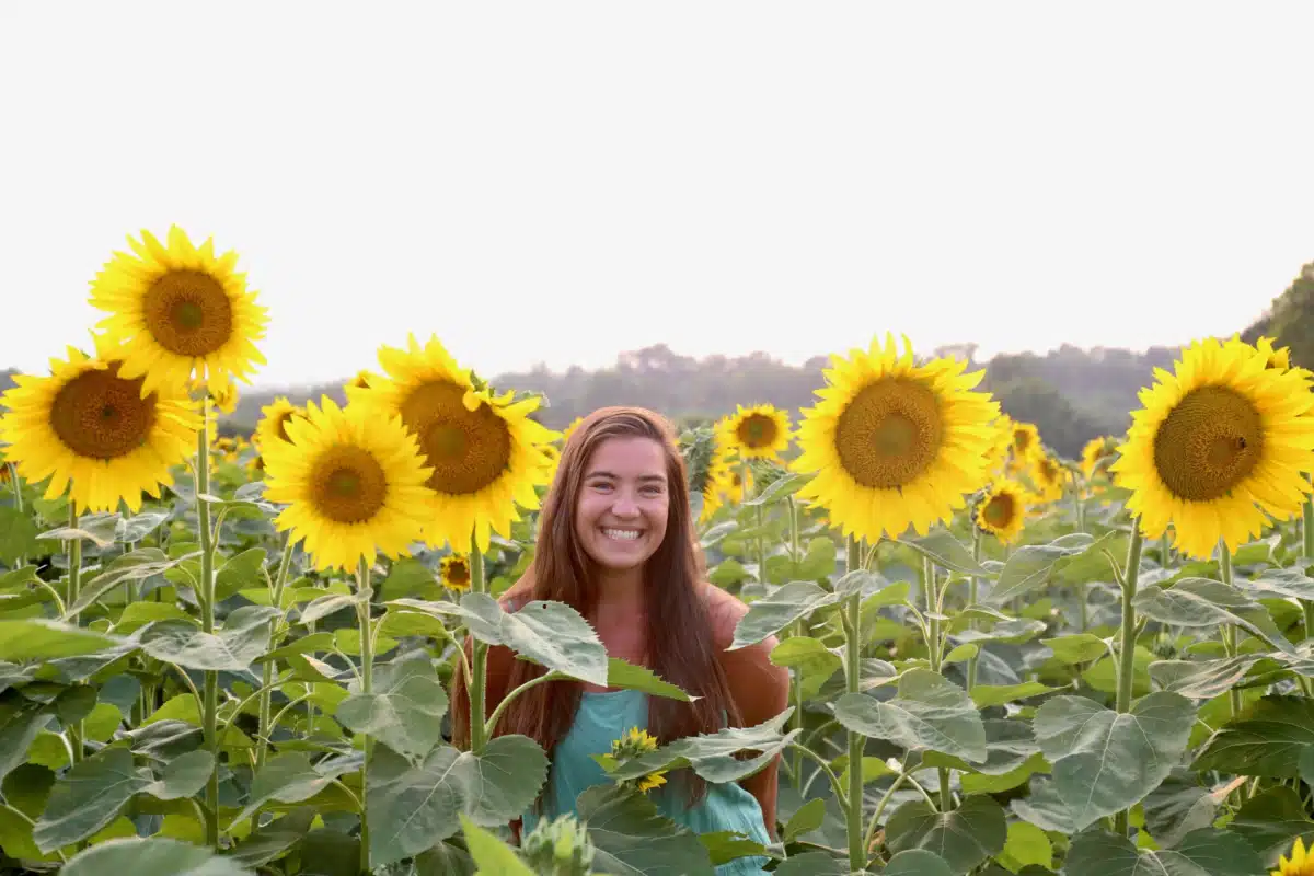 Optimal Living Services LLC - Thumbnail 2