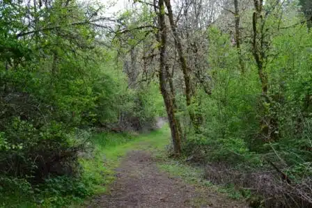 Pacific Ridge - Thumbnail 8