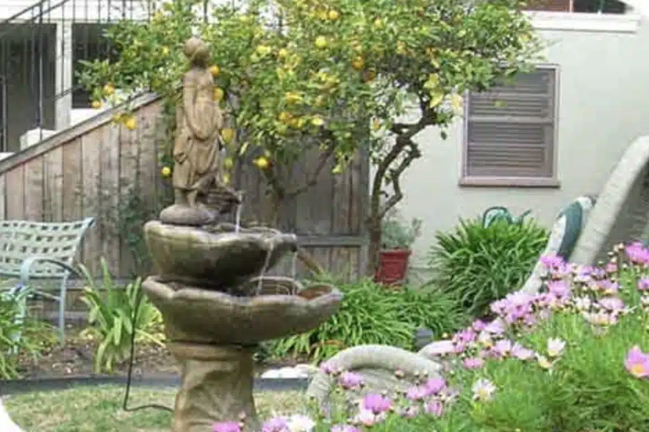 Palm House Inc - Thumbnail 2