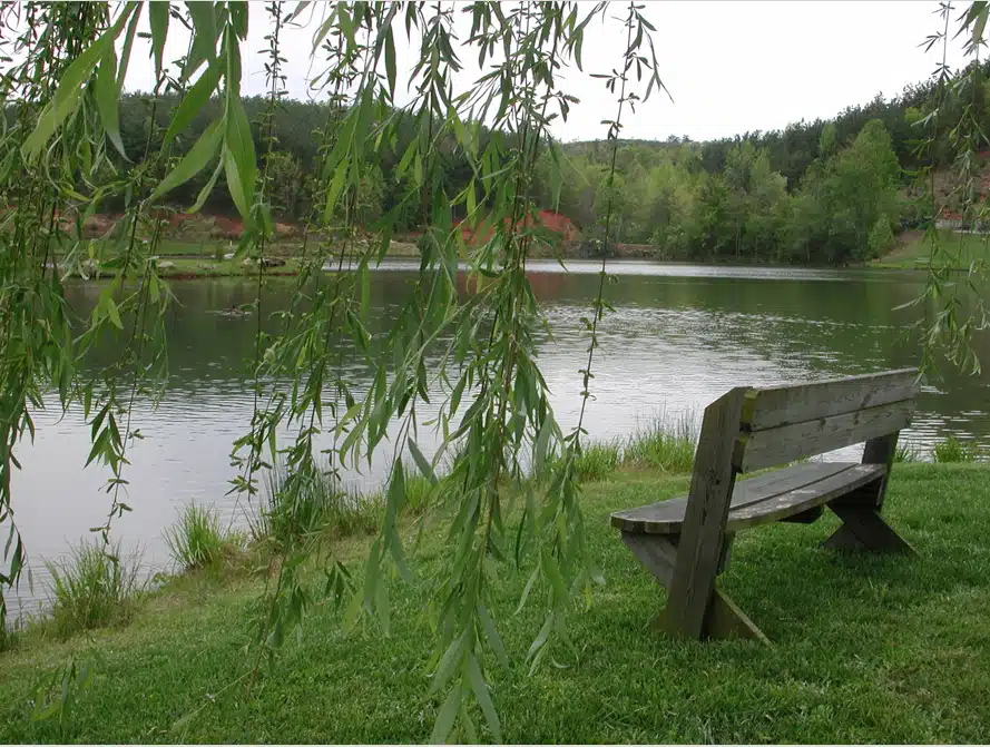 Pavillon - Thumbnail 9