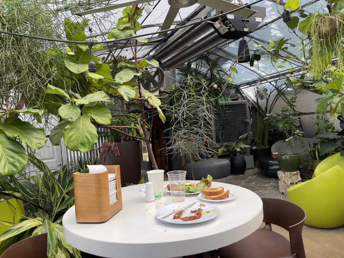 Place of Hope Inc - Thumbnail 4