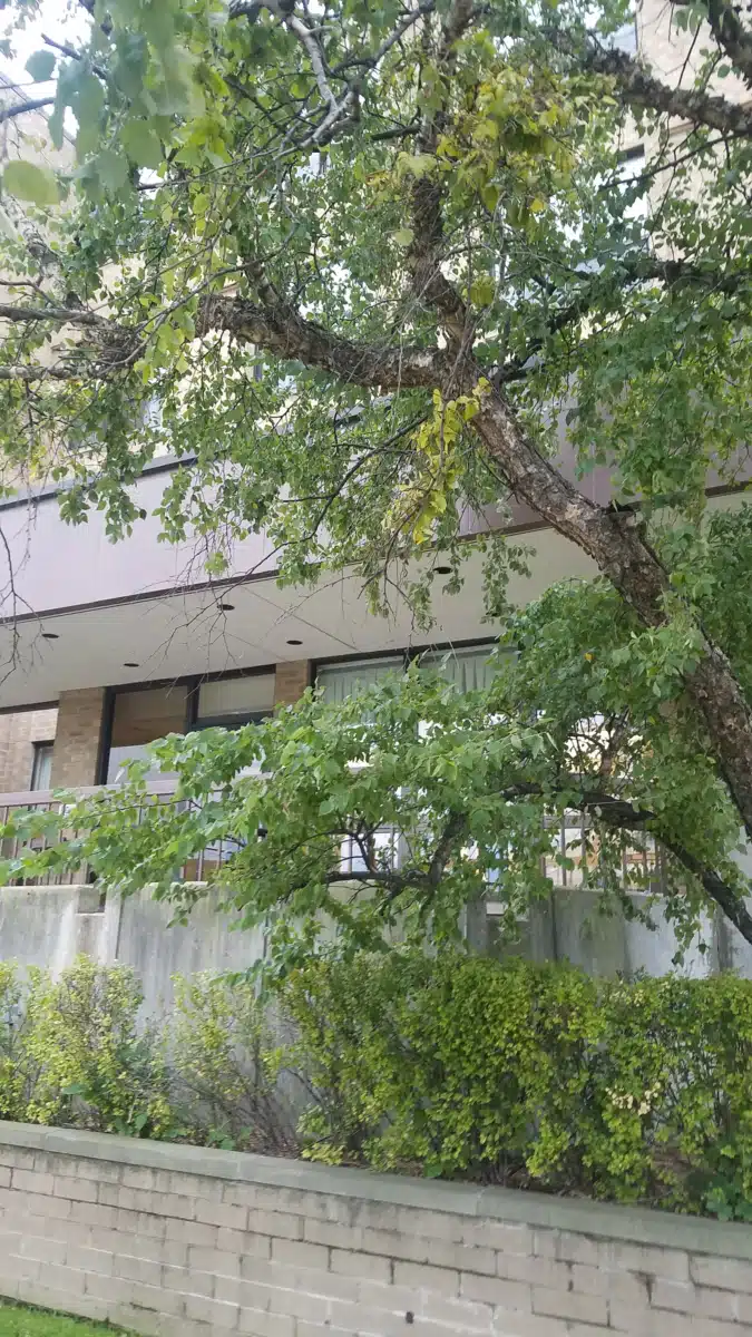 Prentice Place - Thumbnail 3