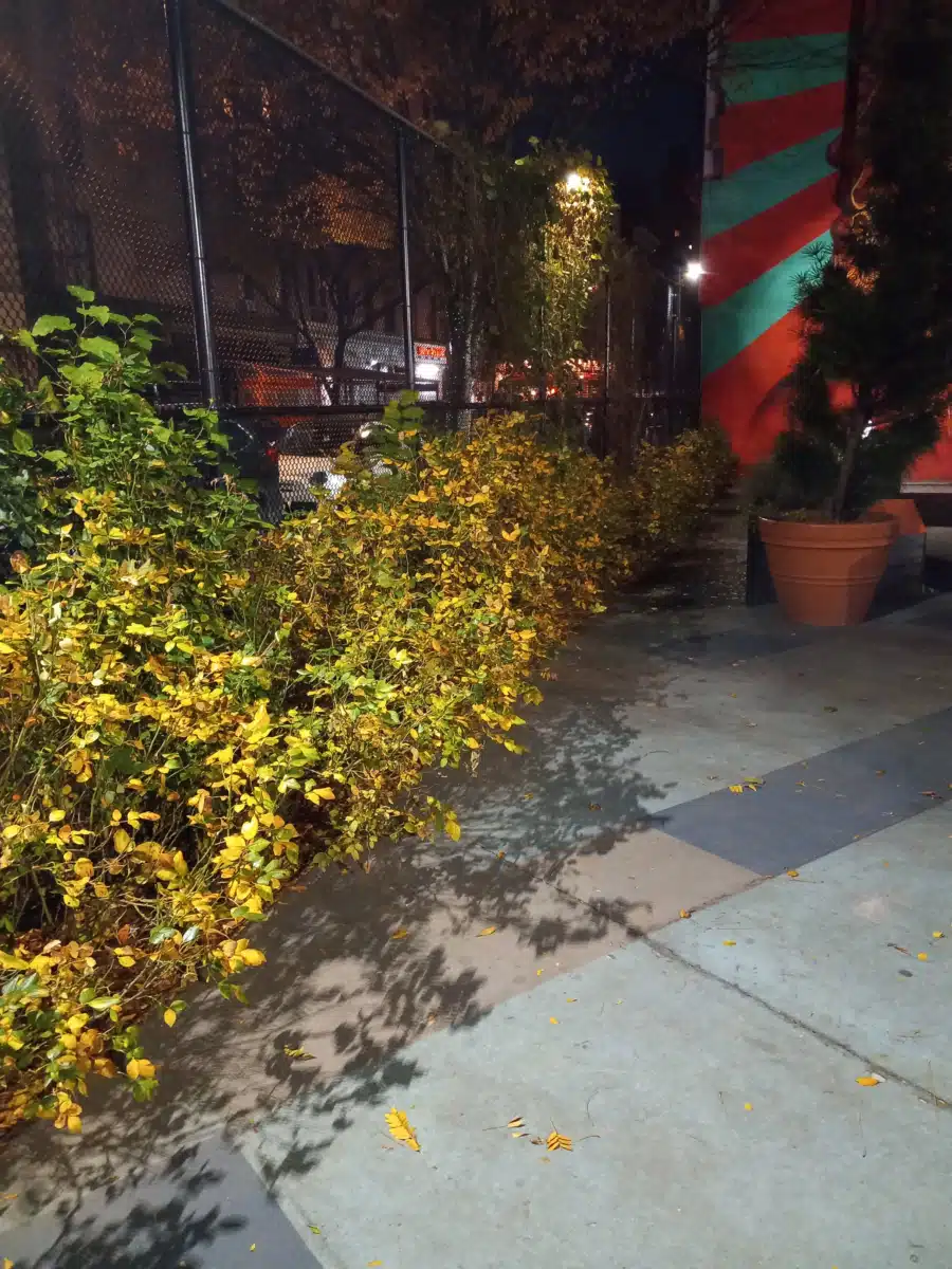 Project Renewal - Thumbnail 5