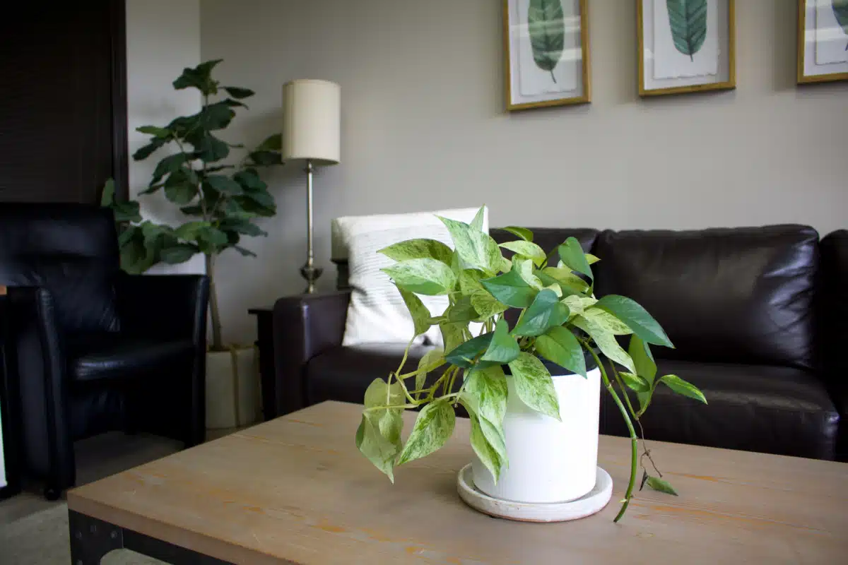 Psychological Care Institute - Thumbnail 4